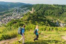 Moselsteig: Weitblick über Weinreben auf Kobern-Gondorf mit Niederburg