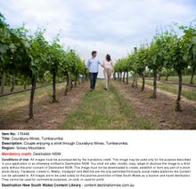 Walking through the vines as Courabyra Wines, Tumbarumba