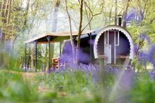 Walkwood Wagon, East Sussex