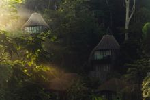 Keemala Tree Pool Houses at Sunrise