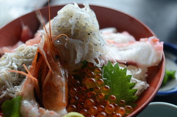 Whitebait sashimi rice bowl at Enoshima Island