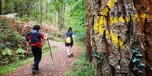 Reasons to go on a walking holiday