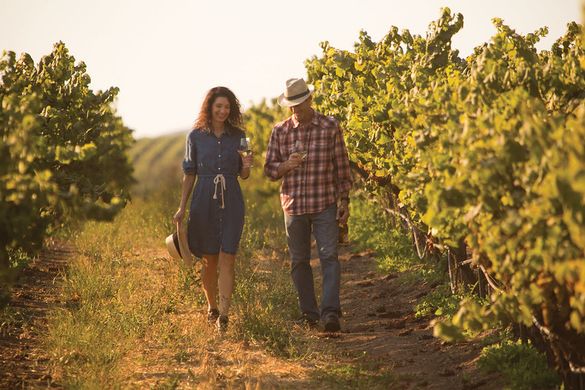 Santa Maria Valley Wine Country Getaway