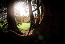 Yoga in the 'Capability' Brown Parkland, Blenheim Palace
