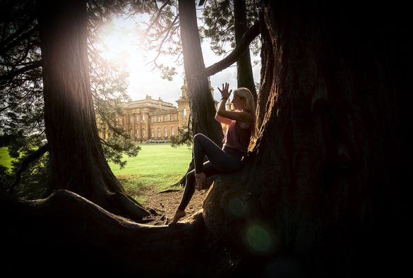 Yoga in the 'Capability' Brown Parkland, Blenheim Palace Yoga in the 'Capability' Brown Parkland, Blenheim Palace