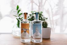 Strathcona Spirits, Edmonton AB