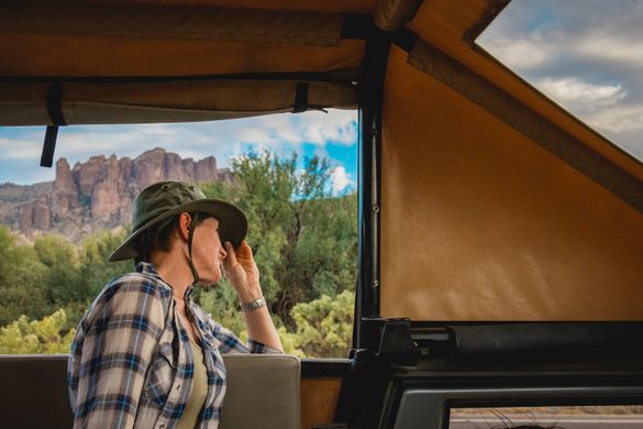 Choose your own adventure in Mesa, Arizona