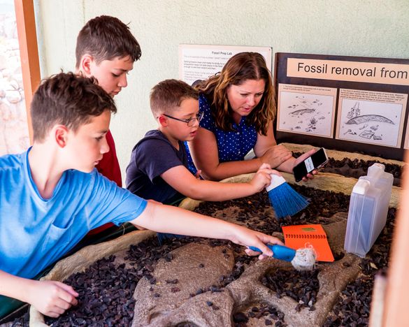 Geocaching is newest way to hunt for treasure in Mesa, Arizona
