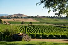 De Bortoli Yarra Valley Estate