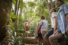 Follow the Rainbow Serpent boardwalk at the Pamagirri Aboriginal Experience at Rainforestation Nature Park.