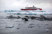 G Expedition Antarctica
