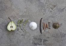 It’s not all meat! 