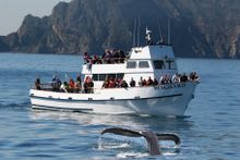 Island Packers Vanguard off the Coast of Oxnard, California
