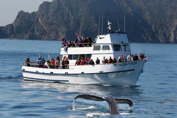 Island Packers Vanguard off the Coast of Oxnard, California