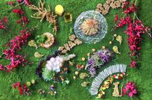 Wonderland Prosperity Yusheng, Gourmet Carousel, Royal Plaza on Scotts