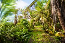Nature Path at Hilton Seychelles Labriz Resort & Spa