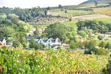 Cape Winelands, Stellenbosch, South Africa