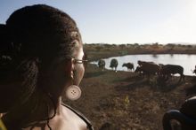 Hluhluwe Game Reserve, South Africa