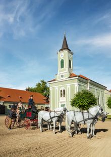 Kladruby nad Labem