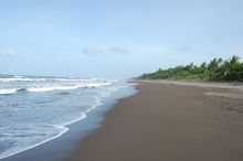 Coastline, Tortuguero National Park, Coast Rica