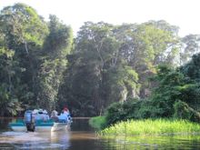 Tortuguero National Park, Coast Rica