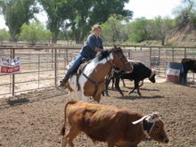 Kay El Bar Ranch, Arizona