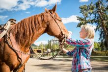 Horse riding in Banff National Park, Alberta