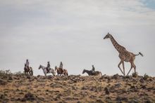 Masai Mara, mobile rides, Kenya (new for 2020)