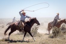 Learning the cowboy lifestyle, Chico Basin Working Ranch, Colorado