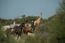 Horseback safari, Horizon Lodge, Triple B Ranch, South Africa: 