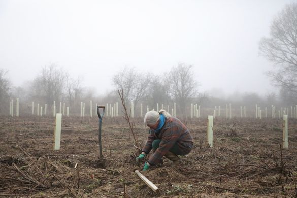 Steppes Travel Expert Deborah Brock-Doyle planting trees