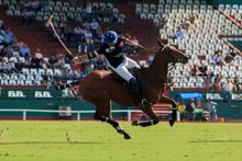 Campo Argentino de Polo, Buenos Aires