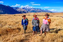 Three Peruvian Ladies