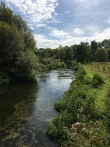Winchester Water Medows