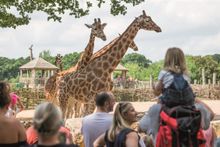 Marwell Wildlife 