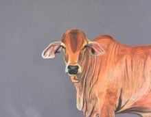 Jilly Crossley art
