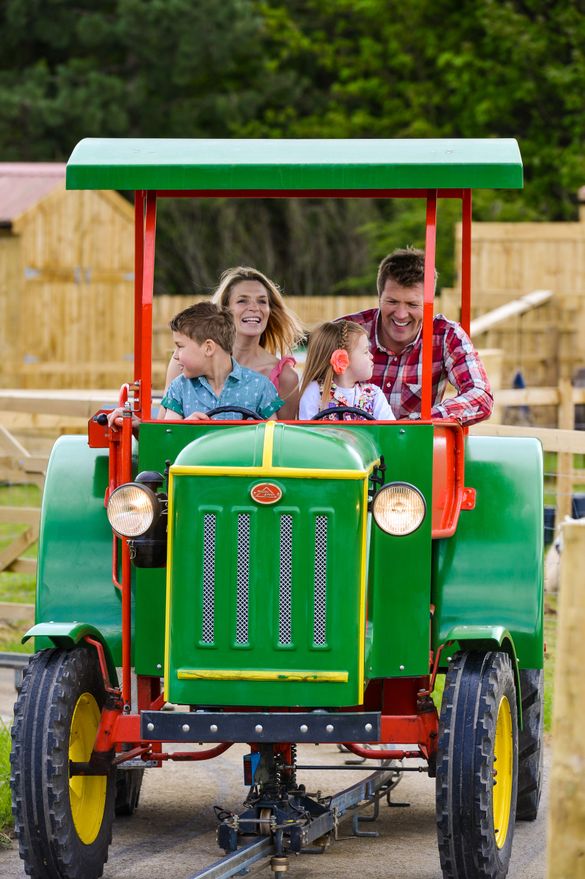 Fab Feb Family Fun Fab Feb Family Fun
