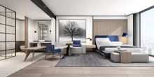 King suite 