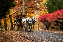 The Omni Homestead Resort (1766) Hot Springs, Virginia 