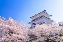 Odawara Castle