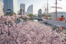 Yokohama City - Minato Mirai and Kamonyama Park