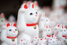 Maneki Neko of Gotokuji Temple (Shinjuku)