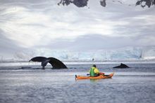Kayaking in Antarctica