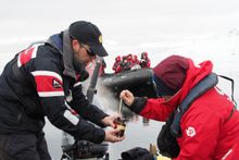 Research project in Antarctica