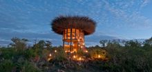 Bird Nest at Segera in Kenya