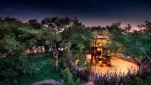 South African Treehouse