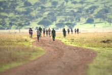Serengeti Girls Run 2020 -Entries are now open for this iconic three-day, 63km run through the vast plains of the Serengeti, t7 October to 1 November 2020