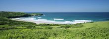 http://www.visitnsw.com/destinations/south-coast/shellharbour-area