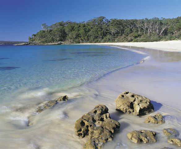 http://www.visitnsw.com/destinations/south-coast/jervis-bay-and-shoalhaven/jervis-bay