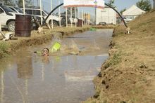 Bog snorkelling was a popular novelty event at the 2014 Dirt n Dust Festival